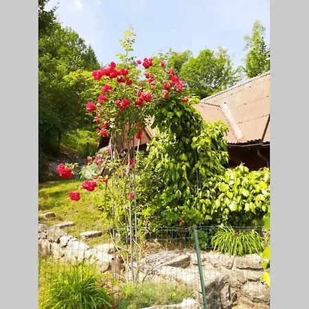 Villa Wooden With A View Idrija