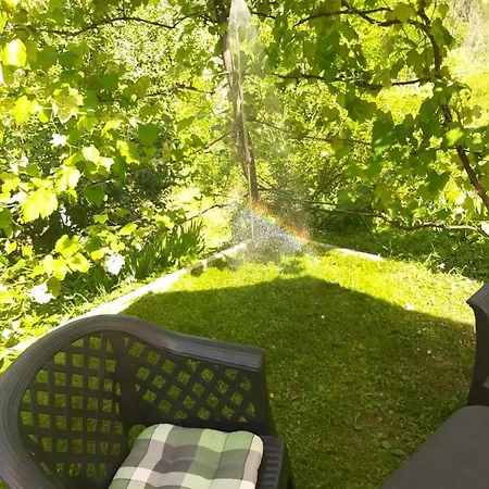 Wooden With A View *