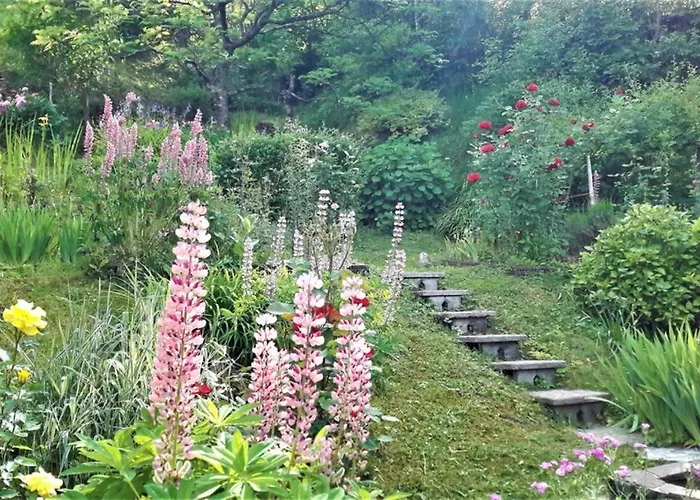 Wooden With A View *