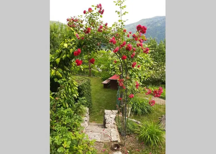 Wooden With A View *