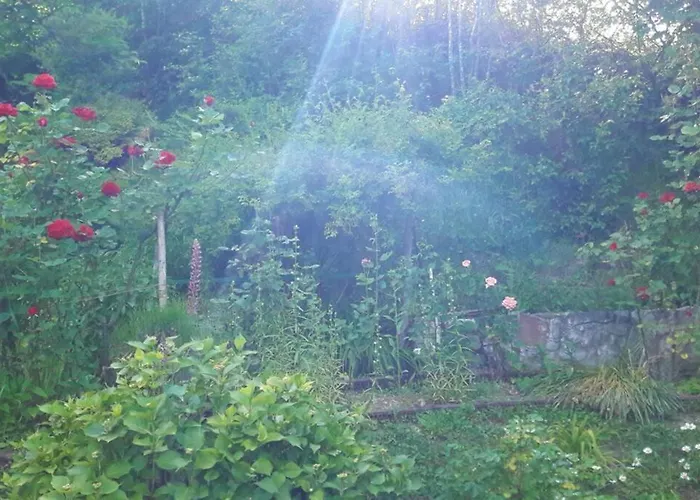 Wooden With A View Villa