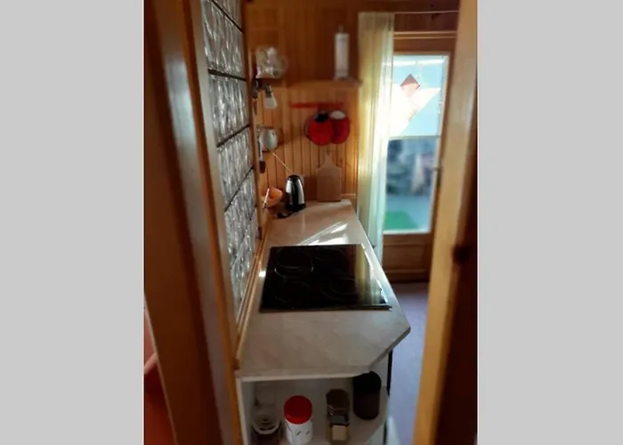 Wooden With A View Villa Idrija