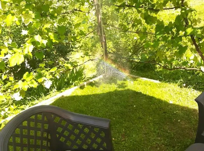 Wooden With A View *