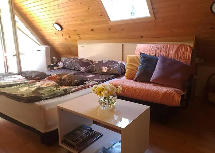 Wooden With A View * Idrija